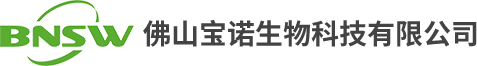 星洋網(wǎng)絡網(wǎng)站建設公司